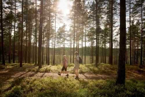 First Camp Hökensås-Tidaholm