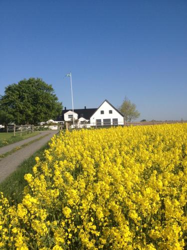 Arnhög Farm